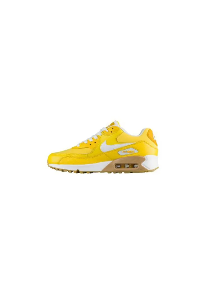 Basket Nike Air Max 90 Femme 96497-701