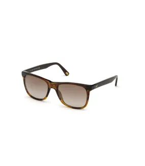 Lunettes De Soleil Web Eyewear Pour Hommes Web Eyewear ( Miroir)